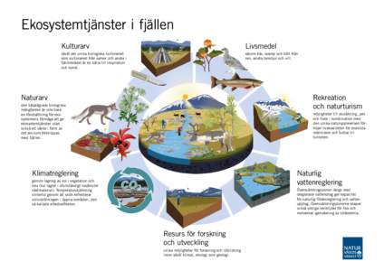 Ekosystemtjänster i fjällen Kulturarv Livsmedel  såväl det unika biologiska kulturarvet