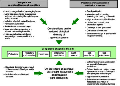 Changes in the operational framework conditions – Land homogenization by merging farms – Land clearance (large clearance or reduced structuring through hedges, walls, streams)