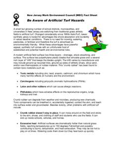 Microsoft Word - WEC factsheet on Artificial Turf.doc