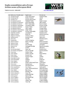 Srpska nomenklatura ptica Evrope Serbian names of European Birds Priredio/Compiled by: Milan Ružić