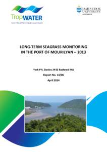 Microsoft Word - Final Mourilyan Harbour Long-term seagrass monitoring report 2013 to PN.docx