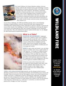 What is at Stake? Definition and Background. Unplanned wildland fires (wildfires) impact tens of millions of acres annually around the world. Wildfires burn homes, damage infrastructure and natural resources, kill and in