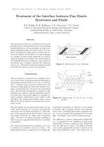 TREATMENT OF THE INTERFACE BETWEEN FINE ELASTIC STRUCTURES AND FLUIDS