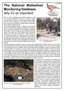 The National Malleefowl Monitoring Database why it’s so important June 2013