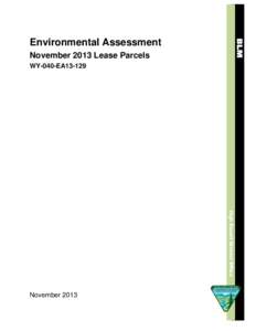 Environmental Assessment November 2013 Lease Parcels WY-040-EA13-129 High Desert District Office