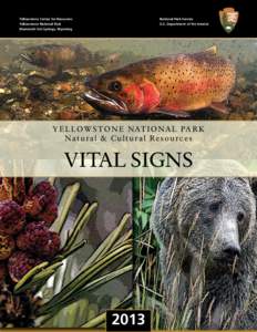 Greater Yellowstone Ecosystem / Yellowstone / Oncorhynchus / Yellowstone National Park / Gallatin National Forest / Yellowstone cutthroat trout / Grand Teton National Park / Yellowstone Lake / Grizzly bear / Wyoming / Geography of the United States / Western United States