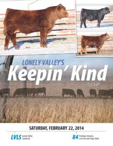 SATURDAY, FEBRUARY 22, 2014  LVLS Lonely Valley Seedstock