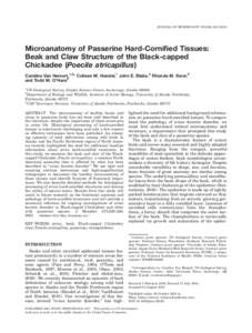 JOURNAL OF MORPHOLOGY 273:226–[removed]Microanatomy of Passerine Hard-Corniﬁed Tissues: Beak and Claw Structure of the Black-capped Chickadee (Poecile atricapillus) Caroline Van Hemert,1,2* Colleen M. Handel,1 Joh