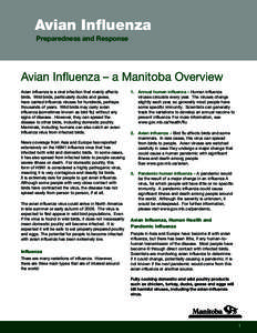 Avian Inﬂuenza Preparedness and Response Avian Inﬂuenza – a Manitoba Overview Avian inﬂuenza is a viral infection that mainly affects birds. Wild birds, particularly ducks and geese,