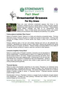 Fact Sheet  Ornamental Grasses For Dry Areas There are many attractive ornamental grasses that thrive in dry conditions, whether they be in coastal areas or merely suburban gardens