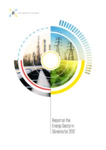 J a v n a a g e n c ij a R S z a e n e r g ij o  Report on the Energy Sector in Slovenia for 2012 DEVELOPMENT OF THE ENERGY MARKETS AND THE MAIN ACTIVITIES OF THE REGULATOR