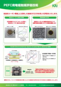 株式会社 KRI 電気化学デバイス研究室  TEL :    メールでのお問い合わせはこちらから   