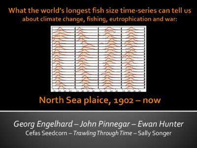 Presenting World’s longest time-series on fish length:  North Sea plaice, 1902 – now