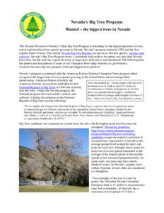 Nevada’s Big Tree Program Wanted – the biggest trees in Nevada The Nevada Division of Forestry’s State Big Tree Program is searching for the largest specimen of every native and introduced tree species growing in N