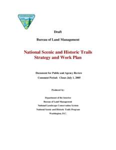 BLM NSHT Strategy and Work Plan.doc
