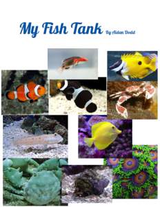 My Fish Tank  By Aidan Dodd 