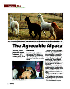 Benton  REA  The Cooperative Way Alpacas on the move at Sage Bluff Alpacas in Prosser. Jennifer and John Ely have been in the alpaca business for seven years and now have 40 animals on 4½ acres.