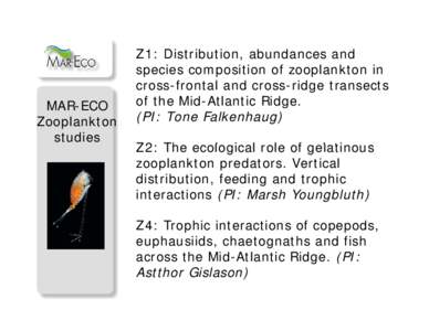 Microsoft PowerPoint - Zooplankton_report_2007.ppt [Kompatibilitetsmodus]