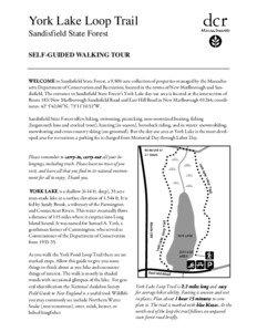 York Lake Loop Trail Sandisfield State Forest SELF-GUIDED WALKING TOUR