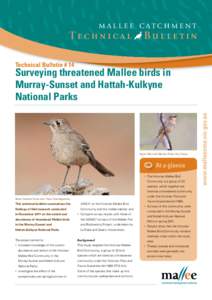 Natural history of Australia / Hattah-Kulkyne National Park / Mallee Emu-wren / Mallee Catchment Management Authority / The Mallee / Black-eared Miner / Red-lored Whistler / Malleefowl / Western Whipbird / Mallee Woodlands and Shrublands / Birds of Australia / Corvida