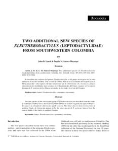 Tubercle / Eleutherodactylus corniger / Eleutherodactylus taciturnus / Eleutherodactylus vicarius