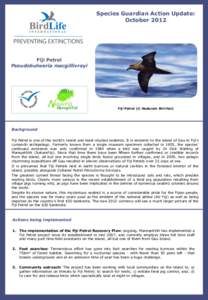 Species Guardian Action Update: October 2012 Fiji Petrel Pseudobulweria macgillivrayi
