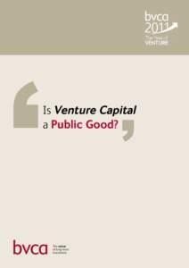 Is Venture Capital a Public good? The voice of long-term investment