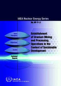 IAEA Nuclear Energy Series No. NF-T-1.1 Basic Principles