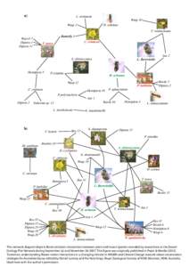 Fauna of Australia / Entomology / Arthropods / Insect