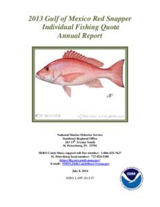 2008 Red Snapper IFQ Annual Report