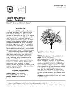 Fact Sheet ST-145 November 1993 Cercis canadensis Eastern Redbud1 Edward F. Gilman and Dennis G. Watson2