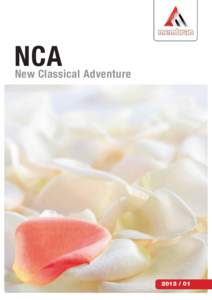 NCA  New Classical Adventure[removed]