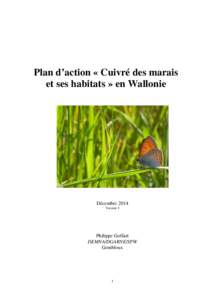 Plan d'action L_dispar_v3