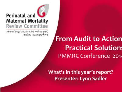From Audit to Action Practical Solutions PMMRC Conference[removed]What’s in this year’s report?
