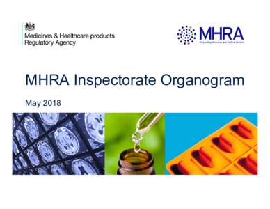 Microsoft PowerPoint - MHRA Inspectorate Organogram - October 17