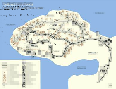Tolland State Forest Camping Area and Day Use Area 20 36