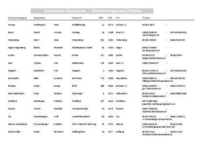 T8_Regiment Zillertal Hptm