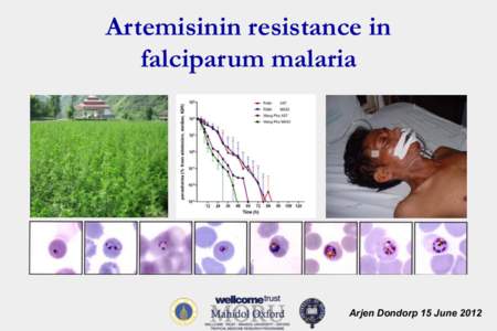 Artemisinin resistance in falciparum malaria Arjen Dondorp 15 June 2012  Antimalarial drug resistance ! malaria mortality