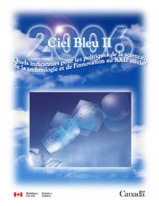Les 25, 26 et 27 septembre 2006, le forum Ciel Bleu II de 2006 portera sur de nouveaux domaines pour l’élaboration d’indicateurs et permettra l’établissement d’un programme élargi pour les travaux à venir au