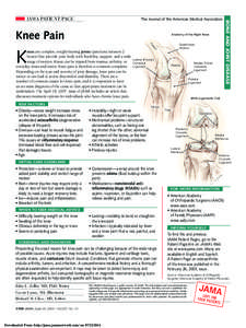 The Journal of the American Medical Association  Knee Pain Anatomy of the Right Knee