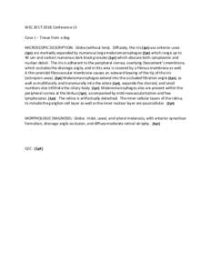 WSCConference 13 Case 1 – Tissue from a dog. MICROSCOPIC DESCRIPTION: Globe (without lens). Diffusely, the iris (1pt) and anterior uvea (1pt) are markedly expanded by numerous large melanomacrophages (2pt) w