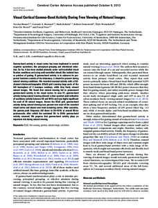 Cerebral Cortex Advance Access published October 9, 2013 Cerebral Cortex doi:[removed]cercor/bht280 Visual Cortical Gamma-Band Activity During Free Viewing of Natural Images Nicolas Brunet1,2, Conrado A. Bosman1,3, Mark R