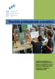 Tirocinio professionale orientativo  Installatore/installatrice di sistemi di refrigerazione AFC Addetto/a installatore/-trice di sistemi di refrigerazione CFP