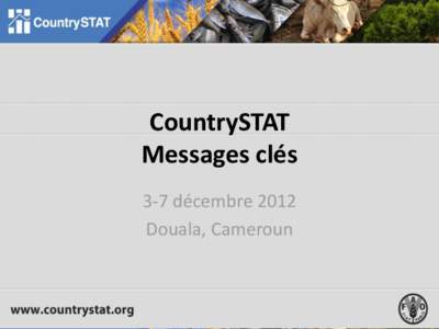 CountrySTAT Messages clés 3-7 décembre 2012 Douala, Cameroun  INTRODUCTION