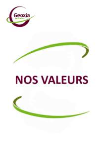 NOS VALEURS  NOS VALEURS SATISFACTION CLIENT RESPECT DE L’INDIVIDU PROFESSIONNALISME