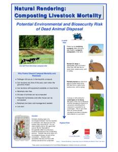 Natural Rendering Composting Livestock Mortality - Potential Environmental and Biosecurity Risk of Dead Animal Disposal