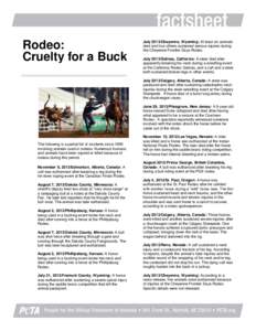 Rodeo: Cruelty for a Buck July 2013/Cheyenne, Wyoming: At least six animals died and four others sustained serious injuries during the Cheyenne Frontier Days Rodeo.