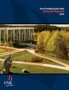 Vice-President Saint John  Annual Report 2013