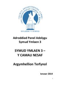 Adroddiad Panel Adolygu Symud Ymlaen 3