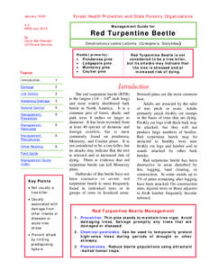 Management Guide for Red Turpentine Beetle